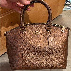 Coach Metallic Bronze Signature Satchel